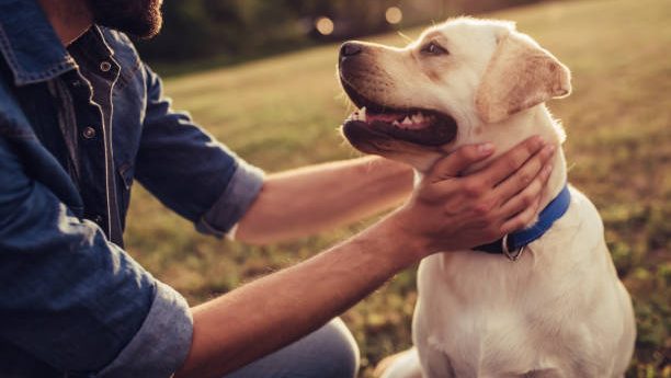 A donor experience platform can organize communication and donations. But real donor experiences are built through connection, stories, and trust.