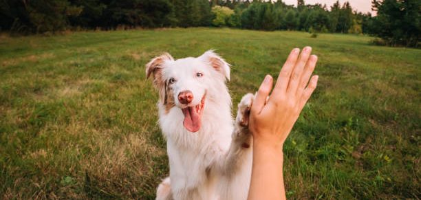 Online donation tools for nonprofits make giving easier, but connection and storytelling are what inspire donors to give.