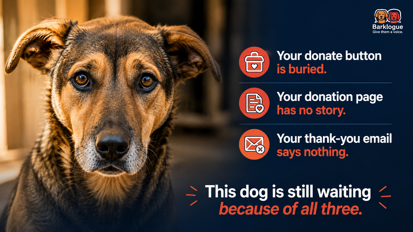 Website audit checklist for animal shelters showing 12 key improvements to boost donations, including donate button placement, donation page optimization, donor email enhancements, mobile usability, and visitor conversion strategies.
